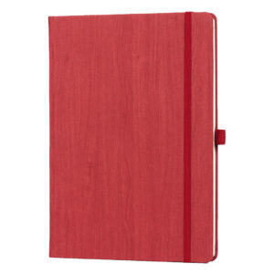 PINO MAXI, notes b5